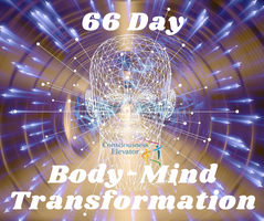 consciousness elevator Antje Swart 66 day body mind transformation