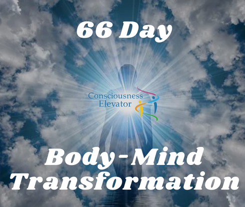 Consciousness Elevator Antje Swart 66 day body mind transformation